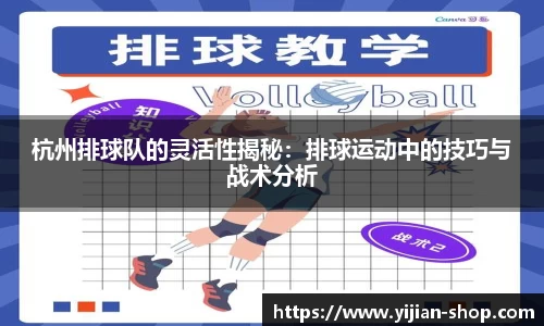 3377体育官网